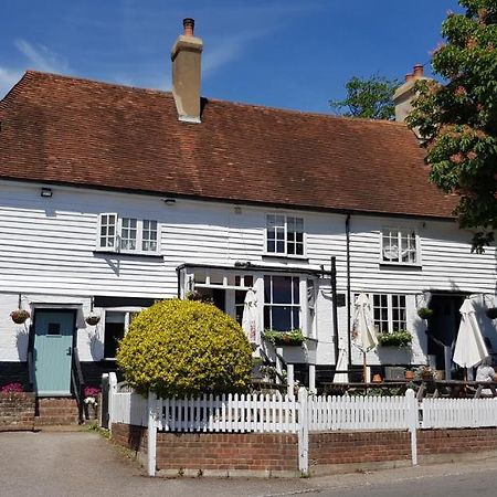 Rose And Crown Ξενοδοχείο Mayfield  Εξωτερικό φωτογραφία